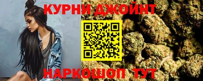 гидра Аша